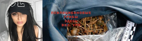 стафф Верея