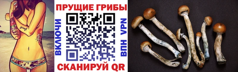 Галлюциногенные грибы прущие грибы Южно-Сухокумск